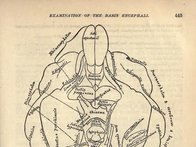 The image shows an old book with a diagram of the human body on it. The paper has text written on...