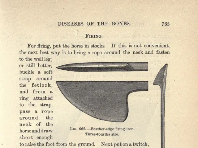 The image shows an open book with a drawing of a knife on it. The knife has a long handle and a...