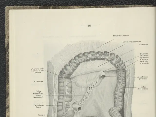 The image shows an open book with a drawing of a large intestine on it. The drawing is detailed and...