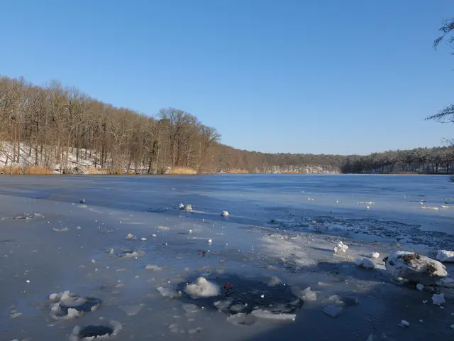The image shows a frozen lake with ice on its surface and trees in the background. The lake is...