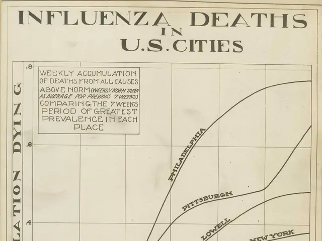 The image shows a graph depicting the correlation between influenza deaths in the United States....