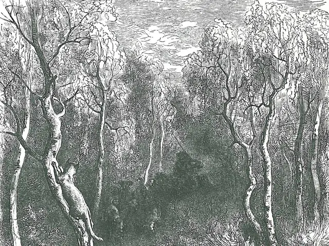 The image shows a black and white illustration of a fox in the woods, surrounded by trees and...