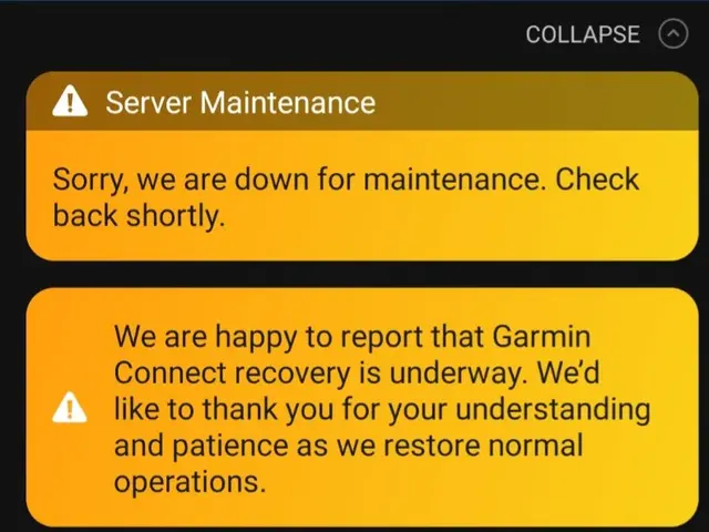 The image shows a screenshot of a mobile screen with text and a heart rate monitor. The text reads...