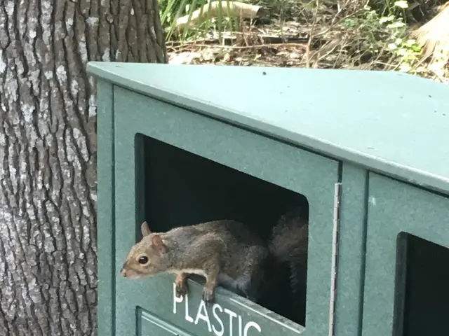 The image shows a squirrel peeking out of a green trash can with text on it, surrounded by plants...