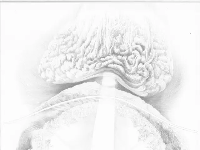 The image shows a black and white drawing of a person standing in front of a book, with a brain in...