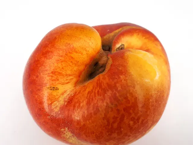 The image shows a ripe, red and yellow nectarine sitting atop a white surface. Its vibrant colors...