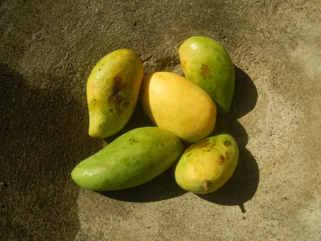 The image shows a bunch of papayas sitting on top of a cement floor. The papaya are a vibrant...