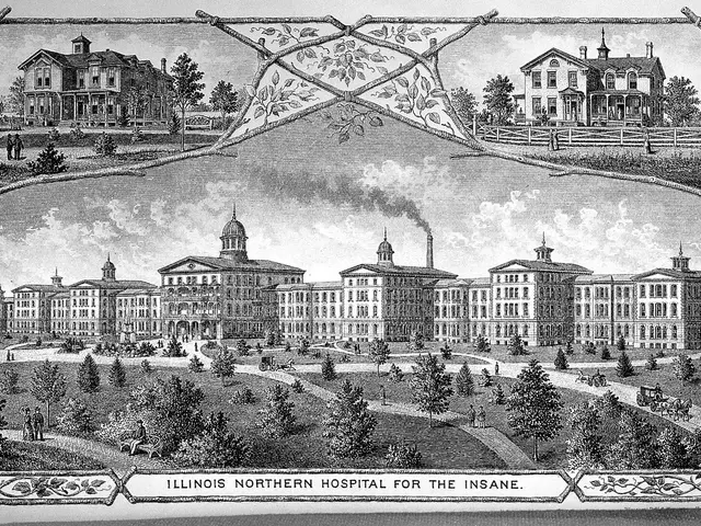 The image shows a black and white drawing of the Illinois Northern Hospital for the Insane, with a...