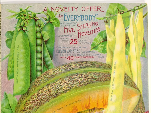 The image shows a book with a variety of vegetables on it, including a tomato, a beetroot, and some...