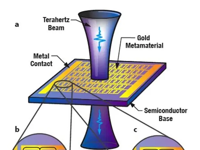 The image shows a diagram of a semiconductor device with a gold-metamaterial and a metal contact....