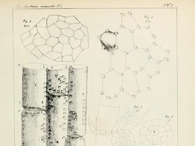 The image shows a page from a book with a drawing of a plant and a diagram of a molecule. The page...