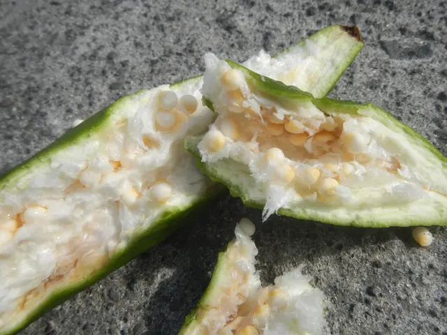 The image shows a close up of a bitter melon cut in half on a table. The melon is a light green...