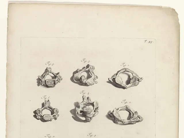 The image shows a page from a book with a drawing of a variety of objects on it, including the...