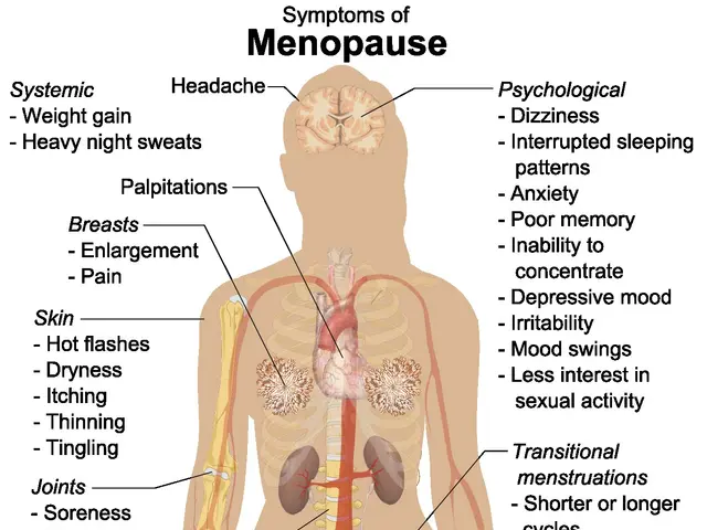 The image shows a diagram of the human body with labels of the various symptoms of menopause, such...
