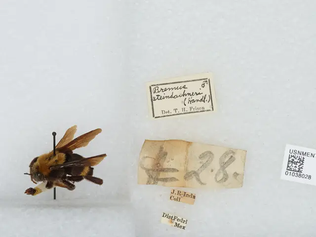 The image shows a bee on a piece of paper with a barcode on it, surrounded by other papers with...