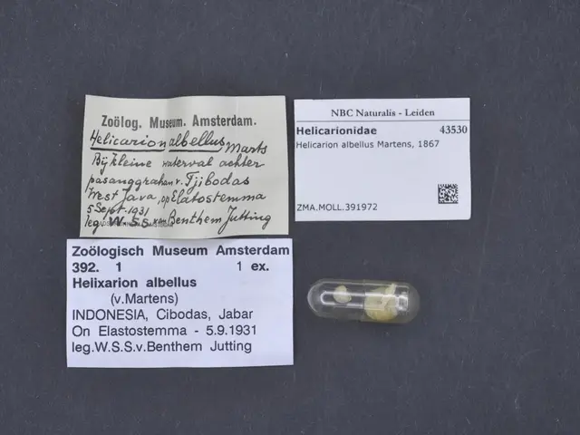 The image shows a small pill sitting on top of a table next to a piece of paper with text on it....