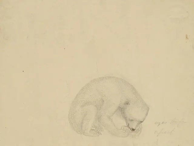 The image shows a drawing of a polar bear sitting on top of a piece of paper. The bear is depicted...