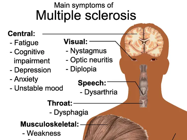 The image shows a poster with a diagram of the human body and text describing the main symptoms of...