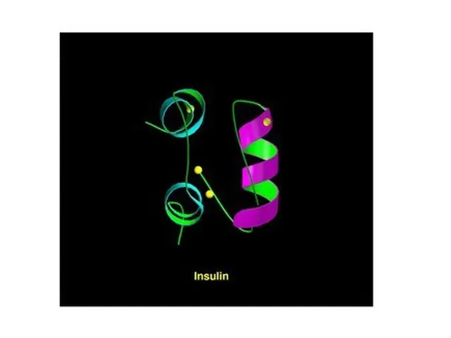 The image shows a black background with the word "insulin" written in green, purple, and pink...