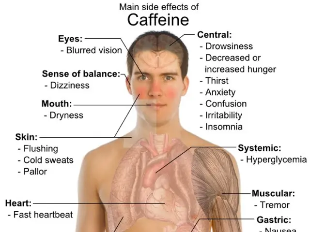 The image shows a diagram of a man's body with the words "Caffeine" written on it, highlighting the...