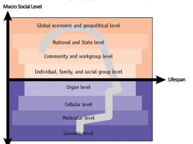 The image shows a diagram of the different levels of social and biological levels, with text...