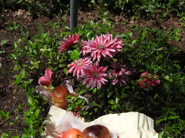 The image shows a picnic blanket spread out in the grass with a variety of food items, including...