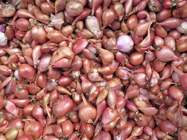 In this image there are onions.