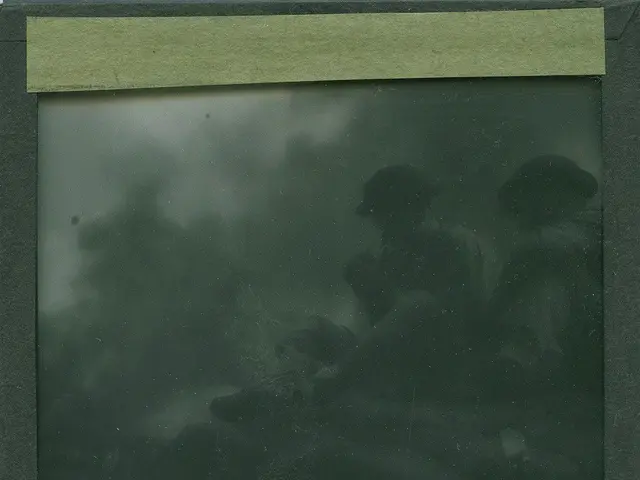 The image shows a black and white photo of a group of people in the fog, framed in a photo frame....