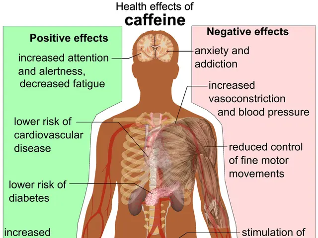 The image shows a diagram of a human body with the words "Health Effects of Caffeine" written on...