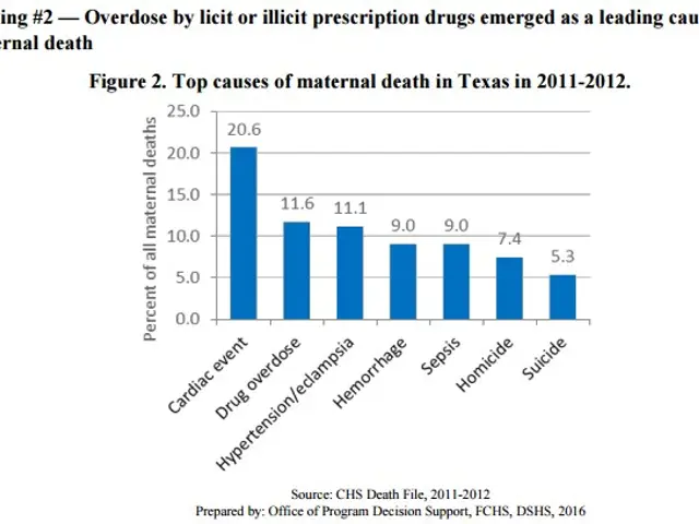 The image shows a bar chart depicting the top causes of maternal death in Texas from 2011 to 2012....