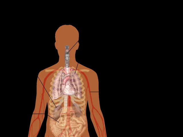 The image shows a diagram of a human body with the words "Symptoms of Covid-19" written on the left...