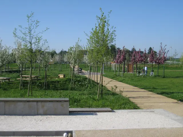 The image shows a park with a path winding through it, lined with trees and benches. There are...