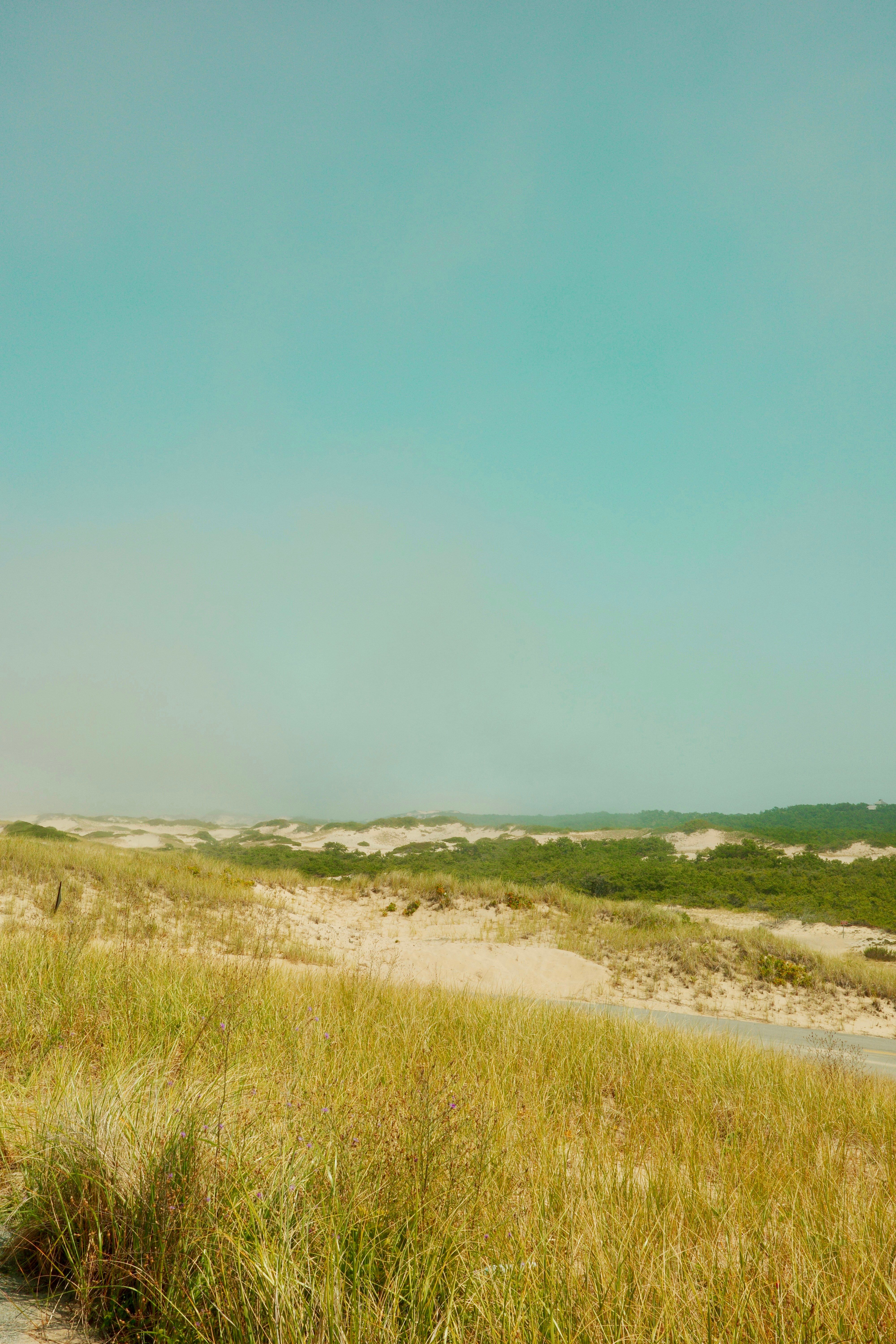 Life's challenges often elicit stress, a typical reaction that may persist from occassion to...