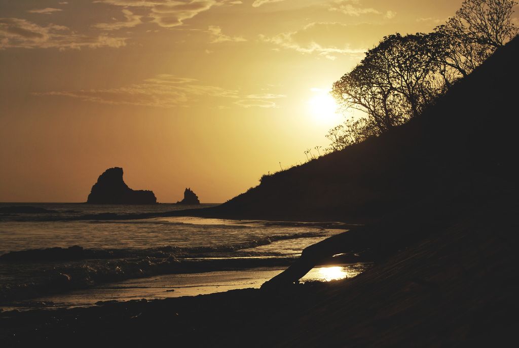 Exploring Yoga as a Potential Method to Elevate Sexual Experiences can offer Stress Relief and...